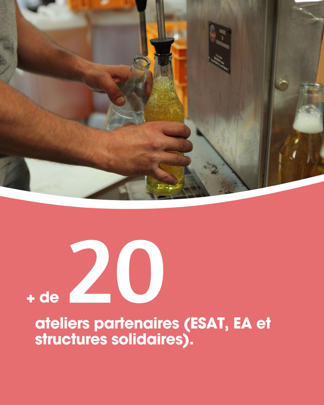 Producteur partenaire infographie